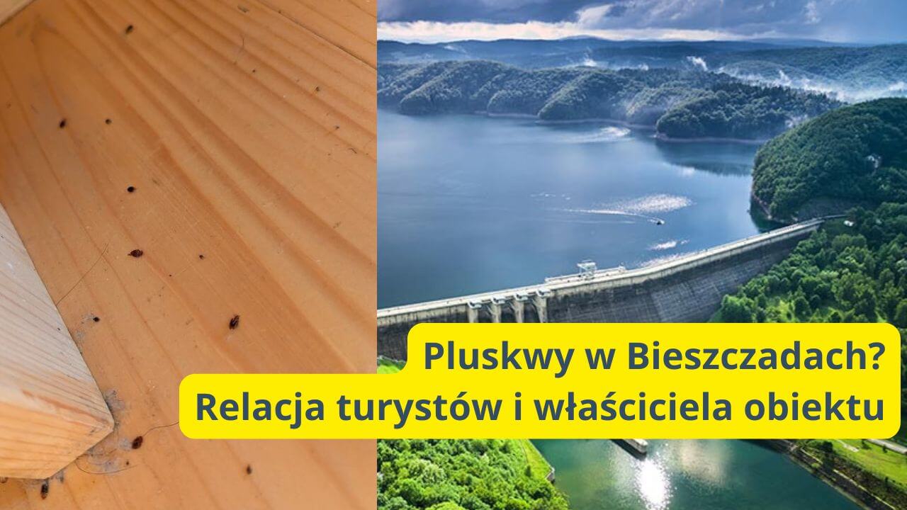 Pluskwy w Bieszczadach? Nieprzyjemna sytuacja turystów nad Jeziorem Solińskim