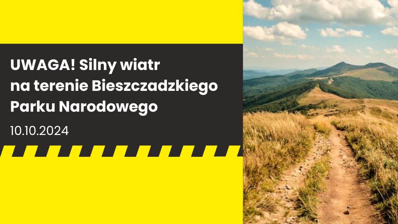 Uwaga, silny wiatr w Bieszczadzkim Parku Narodowym!